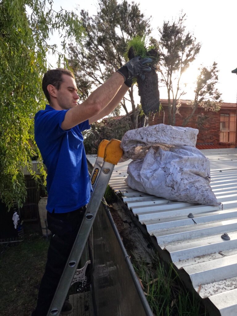 A resiential first story gutter being cleaned using a ladder.